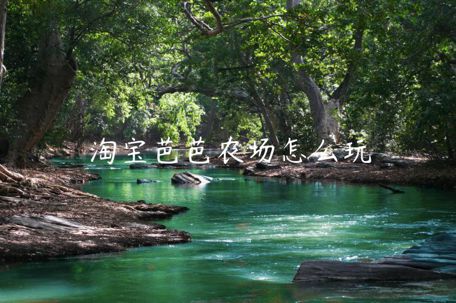 淘寶芭芭農(nóng)場(chǎng)怎么玩